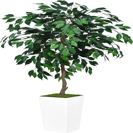 Artificial Ficus Tree 5FT - Faux Indoor Tree with White Tall Planter - Fake Ficus Floor Plant Potted - Artificial Silk Tree for Home Office Living Room Decor Indoor {1}