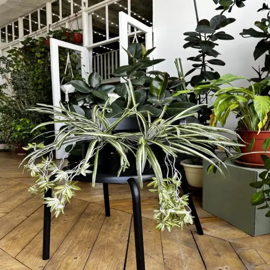 Artificial Chlorophytum Fake Spider Plant Decorative Silk Plant Indoor Wall Hanging Plants for Home Garden Verandah {4}