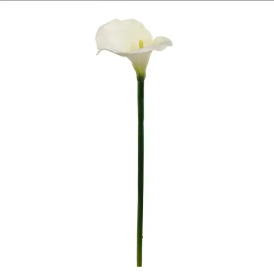 21" Real Touch Calla Lily Stem - 6 PACK {2}
