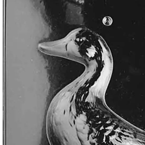 3D Goose Chocolate Mold Back {4}