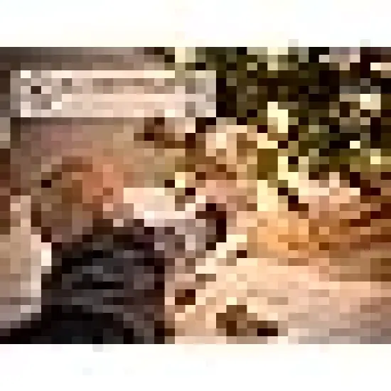 White Christmas Lights Commercial Grade Outdoor Waterproof {3}