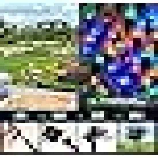 Brightown 60 LED Flower Solar String Lights {4}