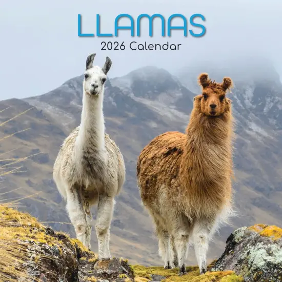 The Gifted Stationary 2026 Square Wall Calendar, Llamas, 16-Month Animals Theme Hanging Calendar with 180 Reminder Stickers, Month Planner for Home, Creative Spaces, 12x12 In Multicolor {1}