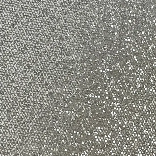 SILVER COINS Sequin Glitter Cardstock - Encore Paper {4}