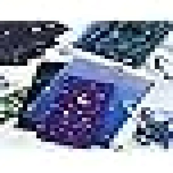 Fabric of The Universe Draping Kit for Quilting Sewing DIY Quilt Beginners Supplies Squares {3}