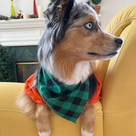 Wrapables Christmas Pet Triangle Bandana, Bib Scarves For Cats and Dogs (Set of 2), Large, Buffalo Plaid {6}