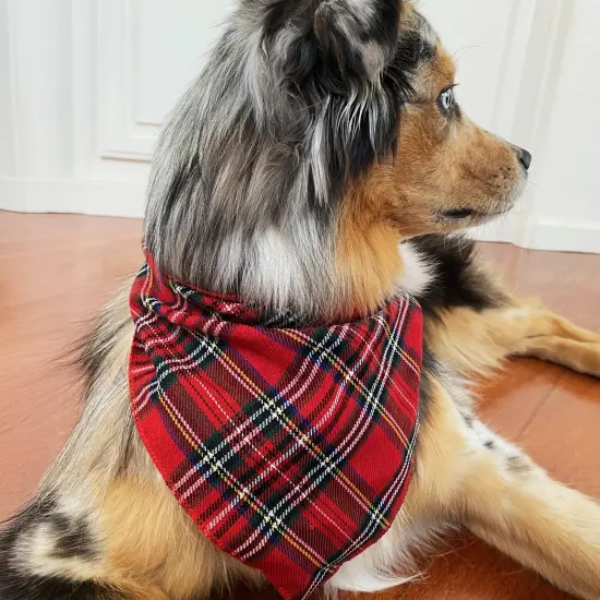 Wrapables Christmas Pet Triangle Bandana, Bib Scarves For Cats and Dogs (Set of 2), Small, Classic Plaid {4}
