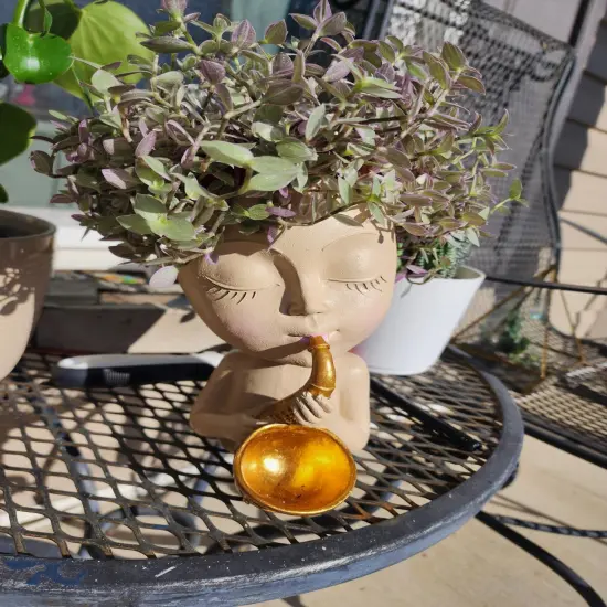 Face Planter Pots Head Flower Pots Planters for Indoor Plants Plant Pots for Succulent Ideal Present Ideas {2}