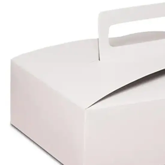 Reusable Flat Take Out Box with Handle 9" x 7" x 3" {4}