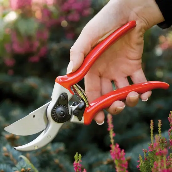 Spear & Jackson Razorsharp Heavy Duty Bypass Pruners, Drop-Forged High Carbon Steel Blades, Adjustable Blade Tension, Ergonomic Handles for Professional Pruning {4}