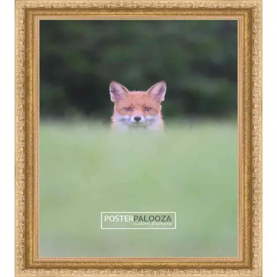 Refined Gold Picture Frame - UV Acrylic, Backing Board, Hanging Hardware Included {3}