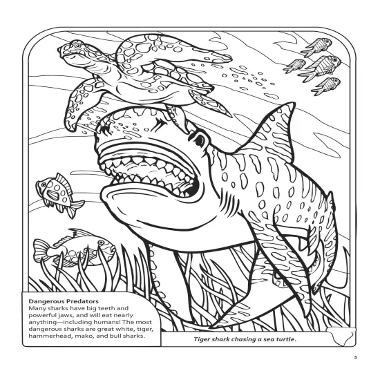 Sharks Coloring Book 3D-Softcover {5}