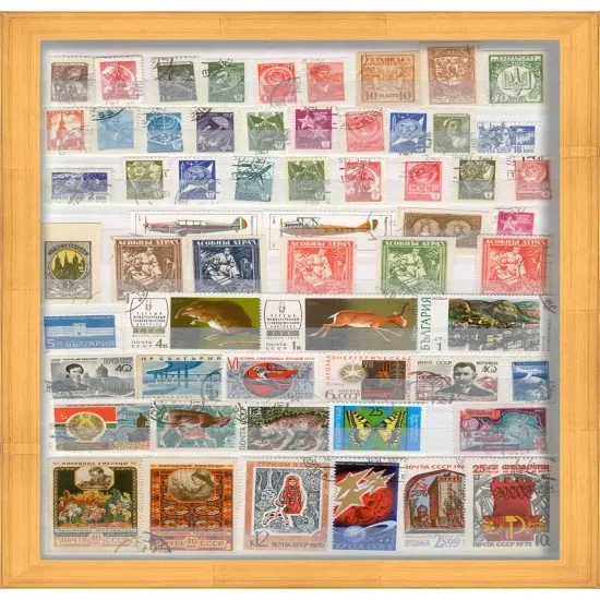 Minimalist Shadow Box Gold Picture Frame - UV Acrylic, Backing, Hanging Hardware {1}