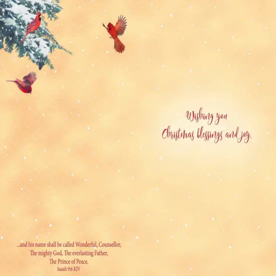Boxed Christmas Cards - Winter Birds {4}