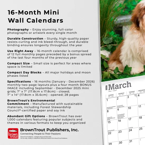 Shih Tzu Puppies | 2026 7 x 14 Inch (Hanging) Monthly Mini Wall Calendar {6}
