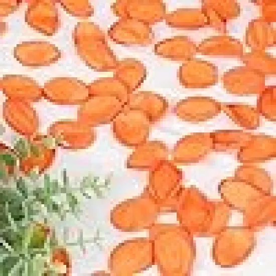 Petals Fall Wedding Decor Flower Girl Petals {5}