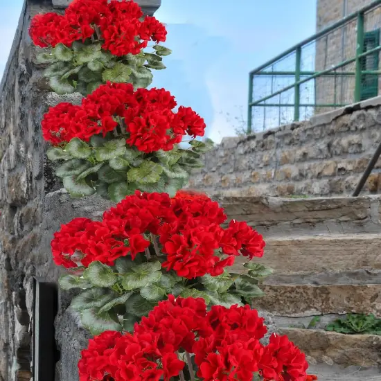 Summer Bushes Artificial Geraniums Flowers for Outdoors {3}
