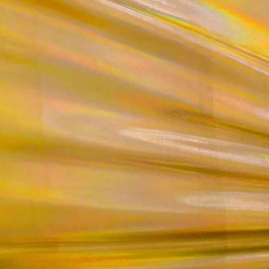 Electric Foiled Spandex Fabric Gold/Gold {1}