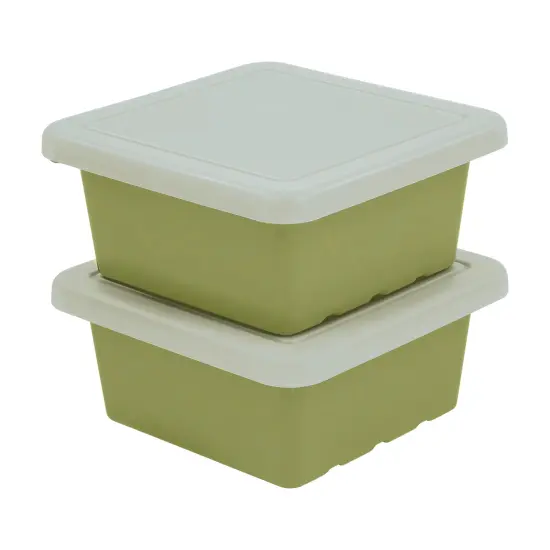 Square Bin with Lid, Storage Containers, 2-Pack Fern Green {1}