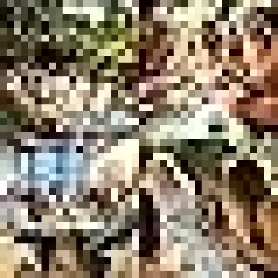 Ready to Paint for Beginners {5}