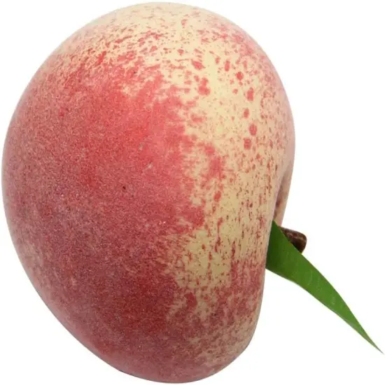 Lifelike Realistic Artificial Fake Fruit - (Set of 12) {5}