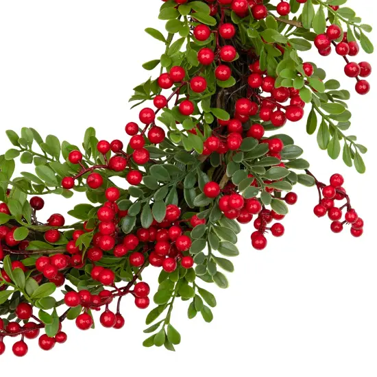 Northlight Berry and Boxwood Artificial Christmas Wreath - 18" - Unlit Green {4}