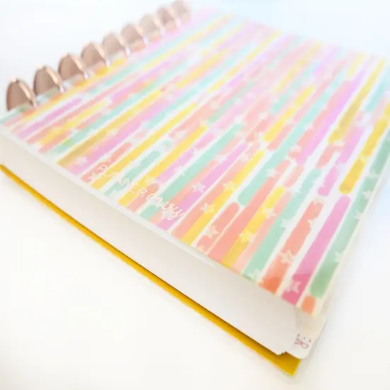 2025 Planner - Mini Horizontal Layout, Disc Bound - "Stars & Stripes" (#1010) {6}