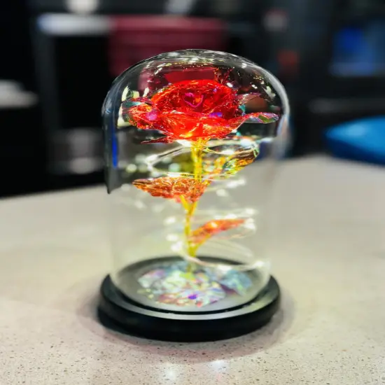 Light Up Red Rose in A Glass Birthday Gift for Woman Mothers Day Flowers Gift for Mom Rose Flower Gift for Her Anniversary Gift Preserved Flowers {1}