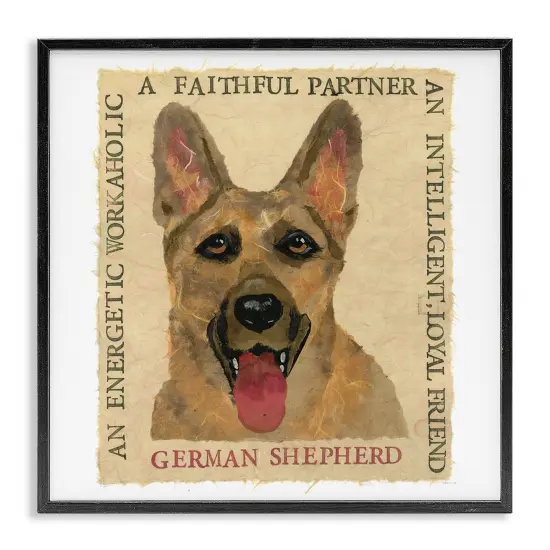 Stupell Industries Fun German Shepherd Phrases Framed Giclee Wall Art Design by Nancy Overton {7}