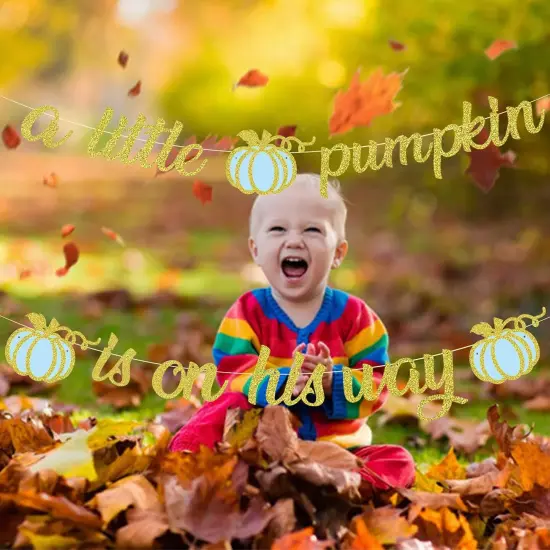 A Little Pumpkin is On His Way Banner,Little Pumpkin Banner {3}