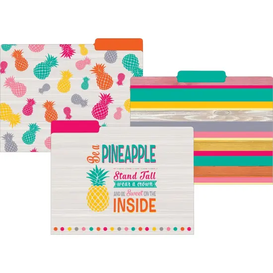 Tropical Punch File Folders, Letter Size, Pack of 12 {1}