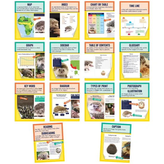 Mini Posters: Nonfiction Text Features Poster Set, Grade 1-6, 14 Pieces {1}