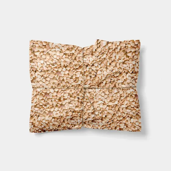 Peanuts Gift Wrap {1}