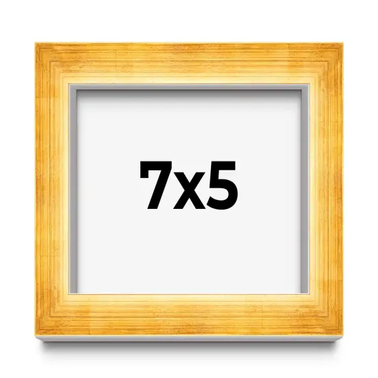 Photo Size Minimalist Shadow Box Gold Picture Frame - UV Acrylic, Backing, Hanging Hardware {1}
