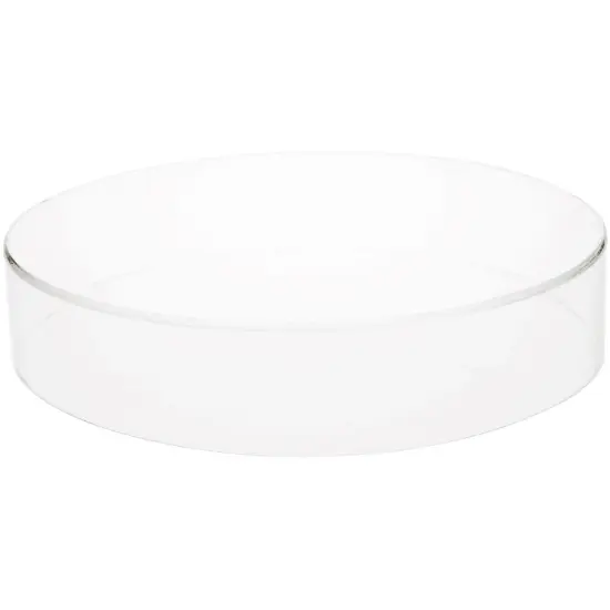 Plymor Clear Acrylic Round Cylinder Display Riser, 2" H x 10" D {2}