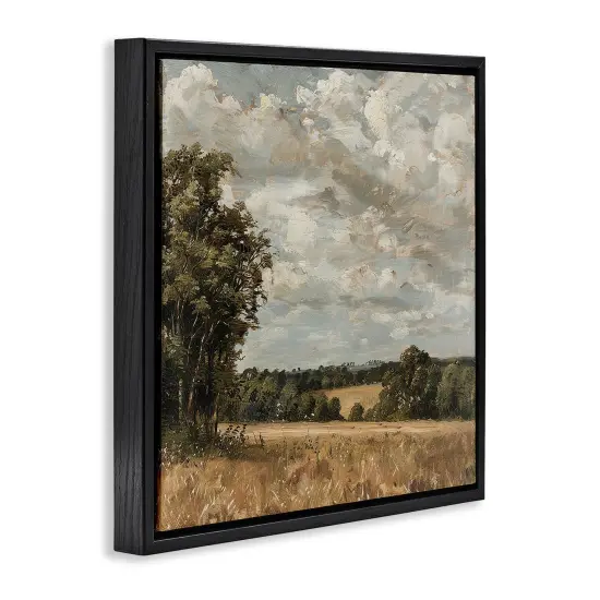 Stupell Industries Clouds Over Country Scenery Floating Frame Design by LSR Creative Studio {3}
