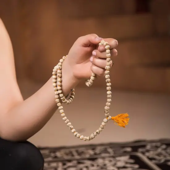 Tulsi Mala Beads Necklace Holy Basil 108 + 1 Beads Ram Japa Prayer Mala Energized Hindu Tibetan Buddhist Rosary for Chanting Mantra Hand Knotted Tulsi Neck Mala for Pooja Meditation Yoga {2}