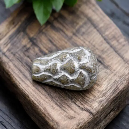 *6* 25x12mm Silver Washed Beige Terra Cotta Mermaid Scale Large Drop Beads {4}