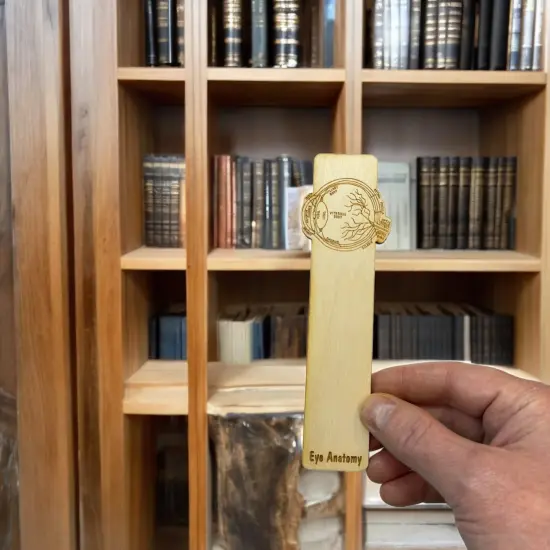 Bookmark - Eye Anatomy - Birch wood {6}