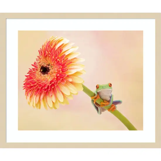 Hanging On IX by PHBurchett Wood Framed Wall Art Print {1}