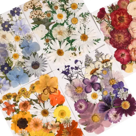 6 Pack 150PCS Real Pressed Dried Flowers Dry Leaves - Colorful {2}