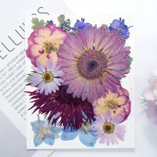 15Pcs Dried Pressed Flowers - Purple | 8 Types {2}