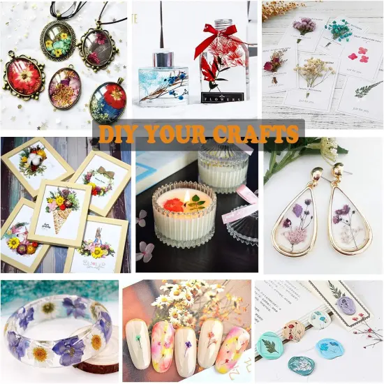 66Pcs Dried Pressed Flowers {5}