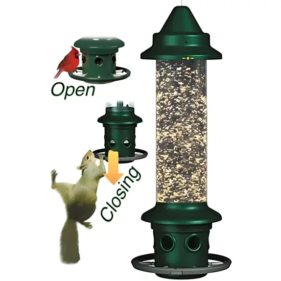 Green Squirrel Proof Bird Feeder with Perch Ring and 3-Quart Seed Capacity {3}