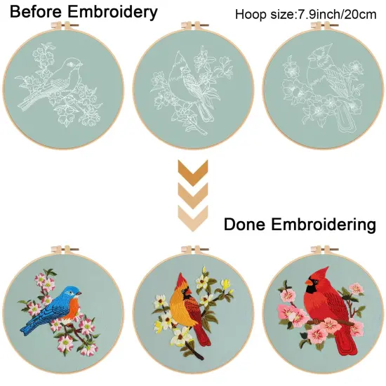3 Sets Bird Embroidery Kits for Beginners,Adults Starter Flower Pattern Cross Stitch Kit DIY Needlepoint Kits with Embroidery Instructions {6}