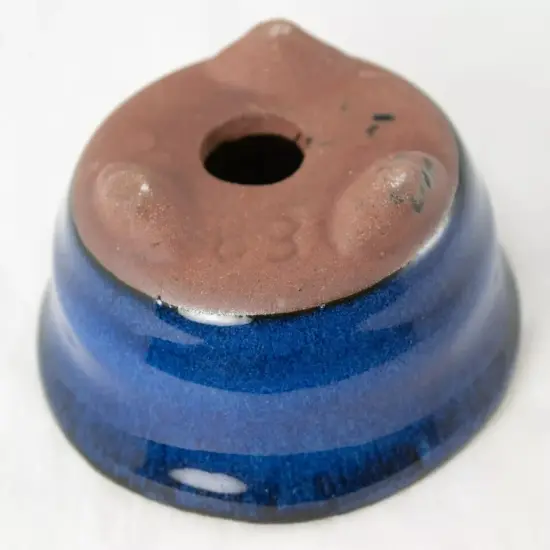 Round Blue Mame Bonsai, Succulent, Accent Plants Pot 3.25"x 3.25"x 1.5" + Mesh {3}