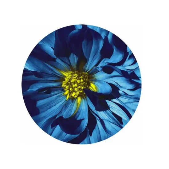 Blue Flower Ceramic Car Coaster Set 2.56" (2 Pack) {1}