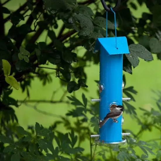 Outdoor 6-Perch Rust-Resistant Metal Tube Bird Feeder with Hanging Hook for Garden or Patio Blue {2}