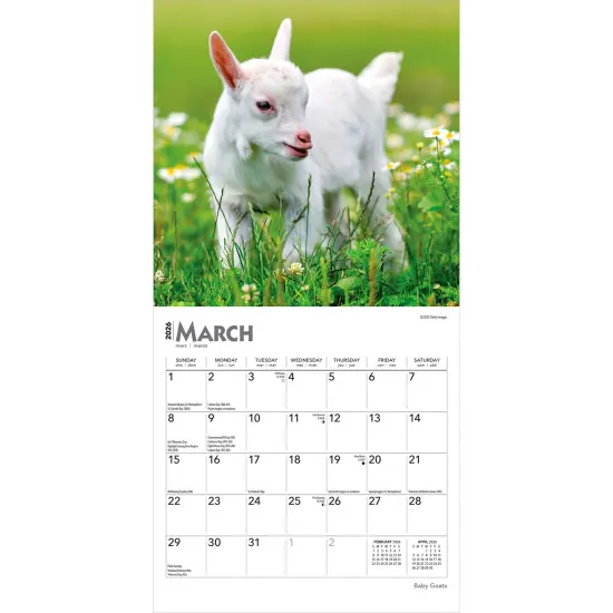 Baby Goats | 2026 7 x 14 Inch (Hanging) Monthly Mini Wall Calendar {3}