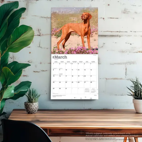 Vizslas | 2026 12 x 24 Inch (Hanging) Monthly Square Wall Calendar | Plastic-Free {5}